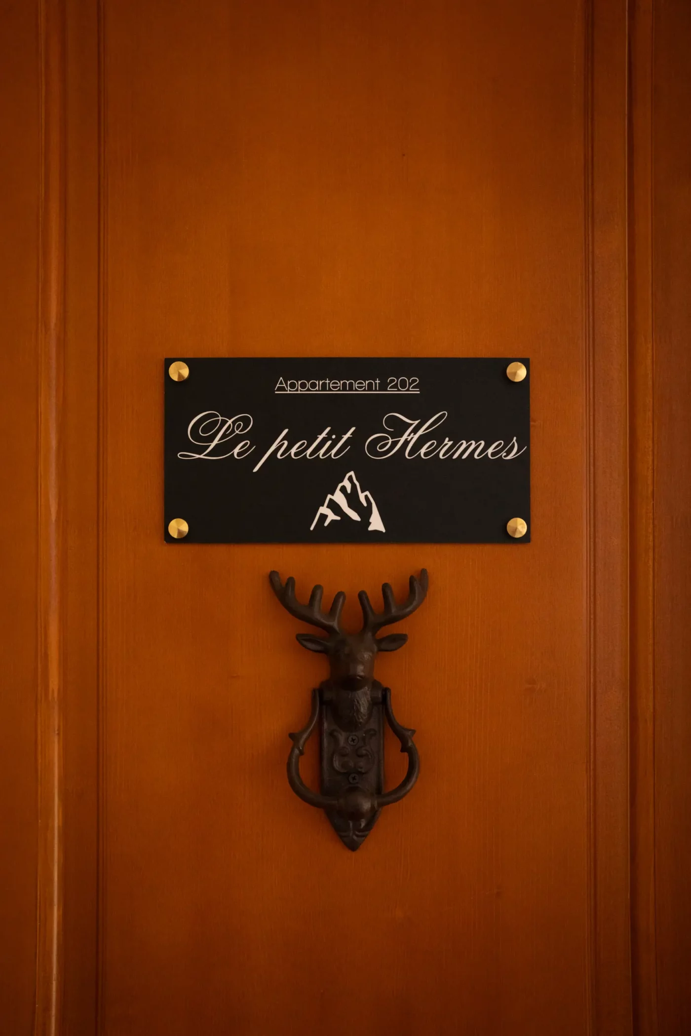 Appartement VOSGES Gérardmer centre ville